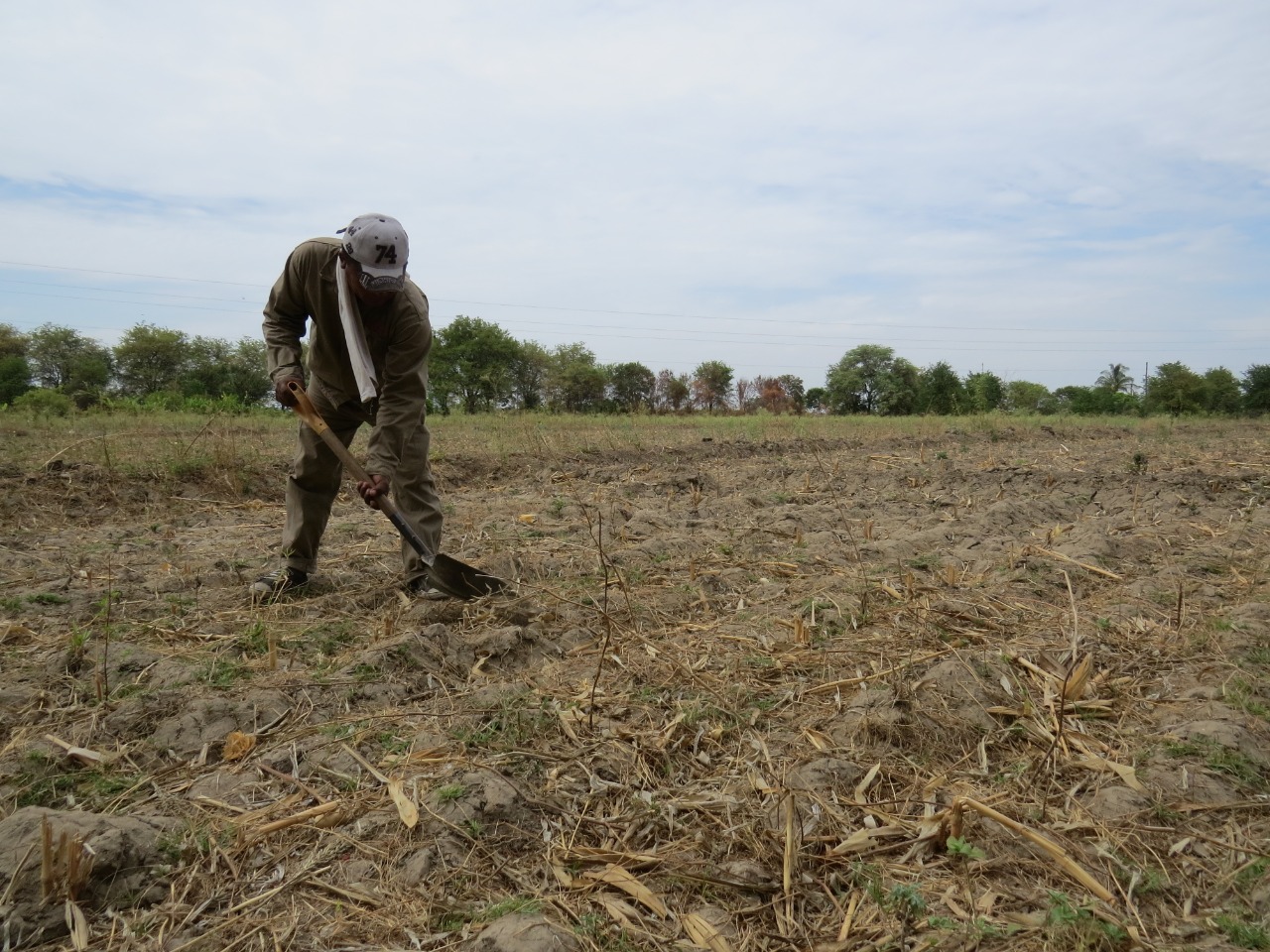 Agricultores de Sechura anuncian marcha por crisis hídrica y pérdidas económicas