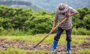 Piura: Midagri designó 200 millones de soles para apoyar productores piuranos