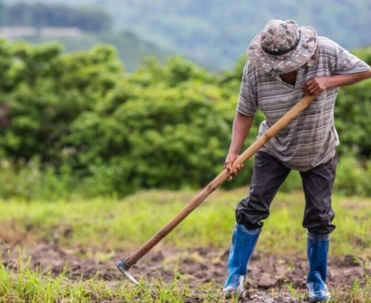 Piura: Midagri designó 200 millones de soles para apoyar productores piuranos