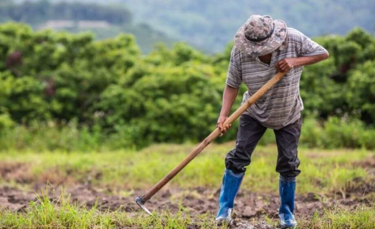 Piura: Midagri designó 200 millones de soles para apoyar productores piuranos