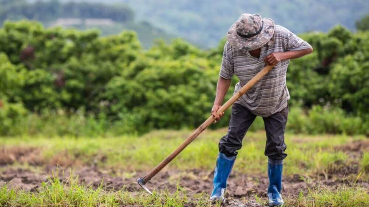 Piura: Midagri designó 200 millones de soles para apoyar productores piuranos