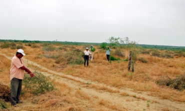 Sequía en Piura genera pérdidas por S/ 82 millones