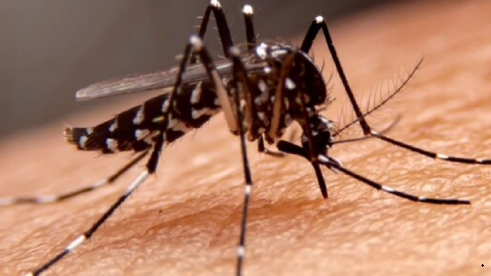 CDC Perú emite alerta epidemiológica por incremento de casos de dengue