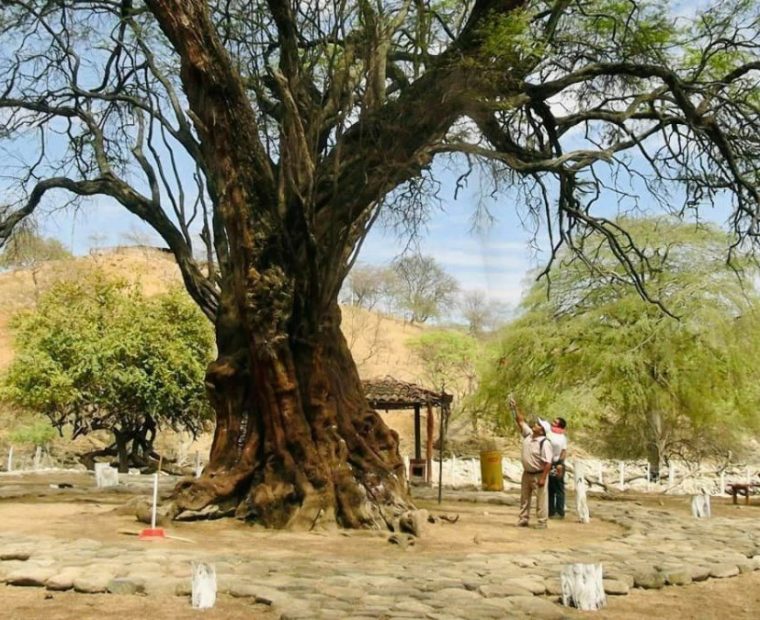 Piura: Jerarquizan 10 destinos turísticos para impulsar su desarrollo sostenible