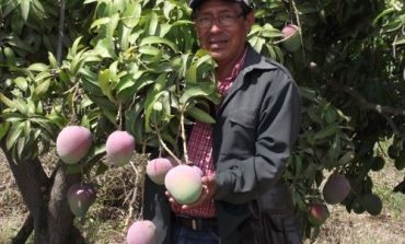 Piura: Seguro agrícola catastrófico cubrirá más de 240,000 hectáreas