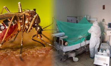 Piura: Infectóloga señala que vacuna contra el dengue es eficaz y segura