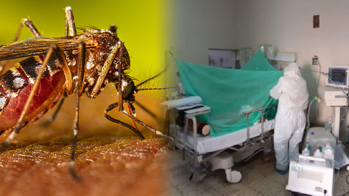 Piura: Infectóloga señala que vacuna contra el dengue es eficaz y segura