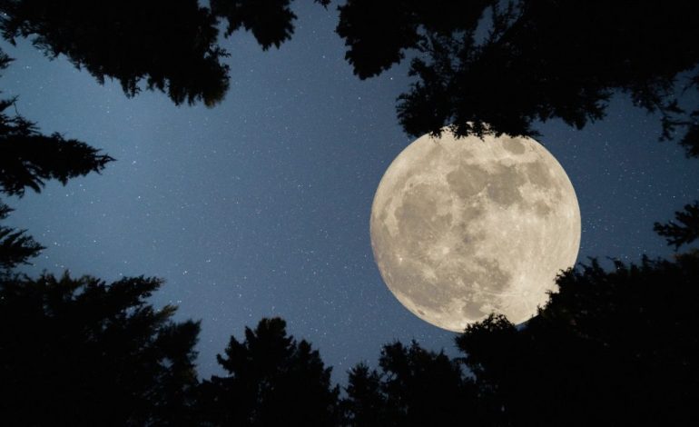 Piura: Superluna podrá observarse en el cielo de la región desde hoy hasta el amanecer