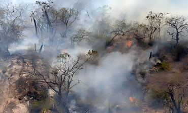 Piura: Incendios forestales devastan bosques y cultivos