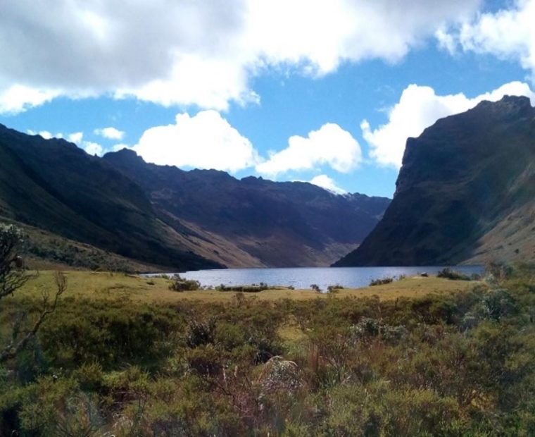 El Congreso aprueba ley para la protección de páramos y bosques de neblina en Piura