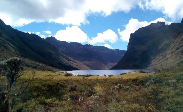 El Congreso aprueba ley para la protección de páramos y bosques de neblina en Piura