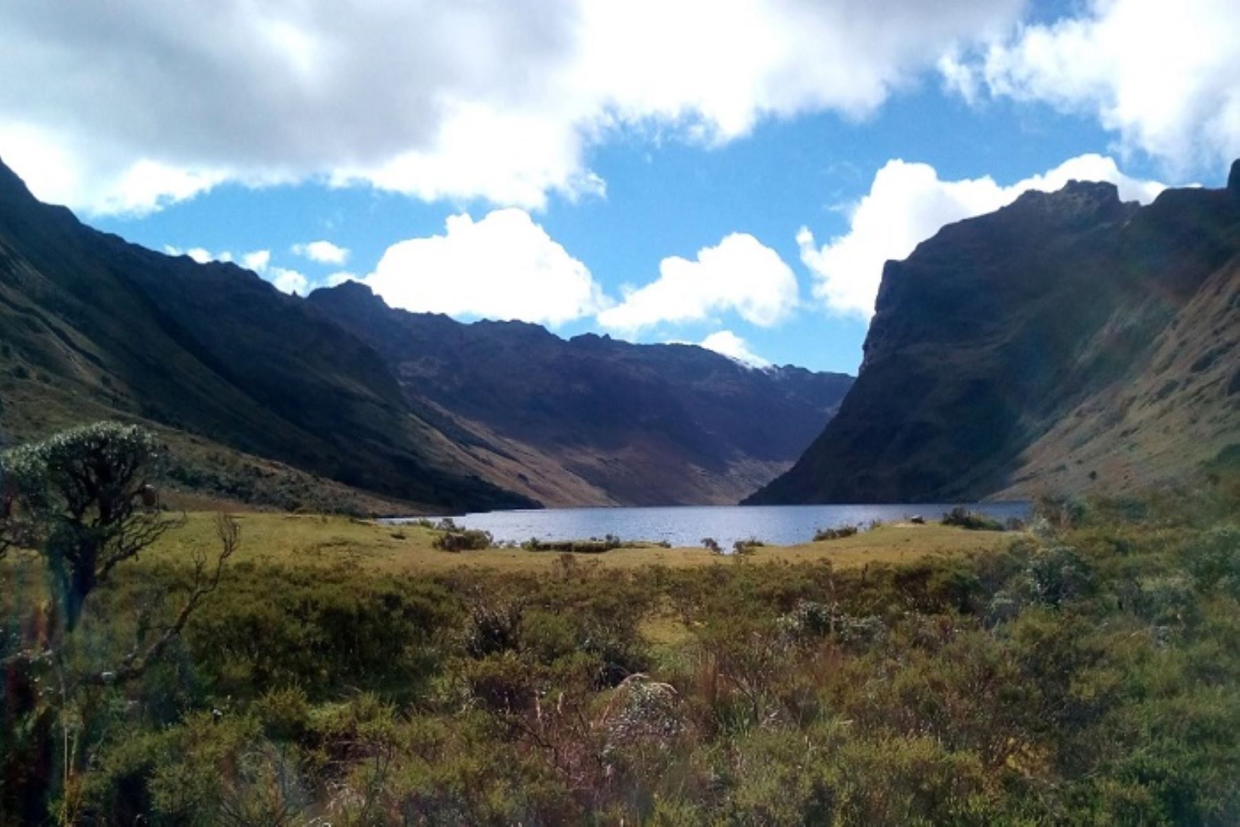 El Congreso aprueba ley para la protección de páramos y bosques de neblina en Piura