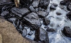 PetroPerú asegura que las rocas de playas en Talara no tienen rastros de petróleo