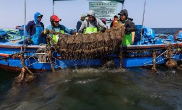 PRODUCE autoriza extracción de concha de abanico en la isla Lobos de Tierra