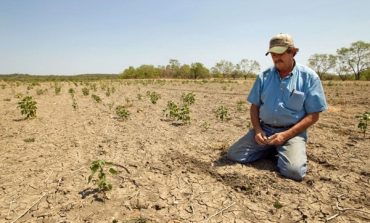 Pocas lluvias y temperaturas por encima de lo normal para el verano 2025