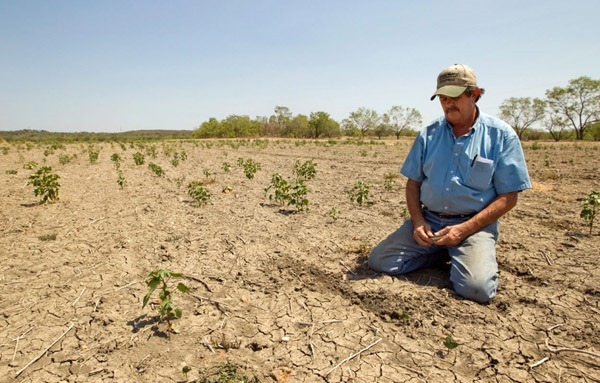 Pocas lluvias y temperaturas por encima de lo normal para el verano 2025