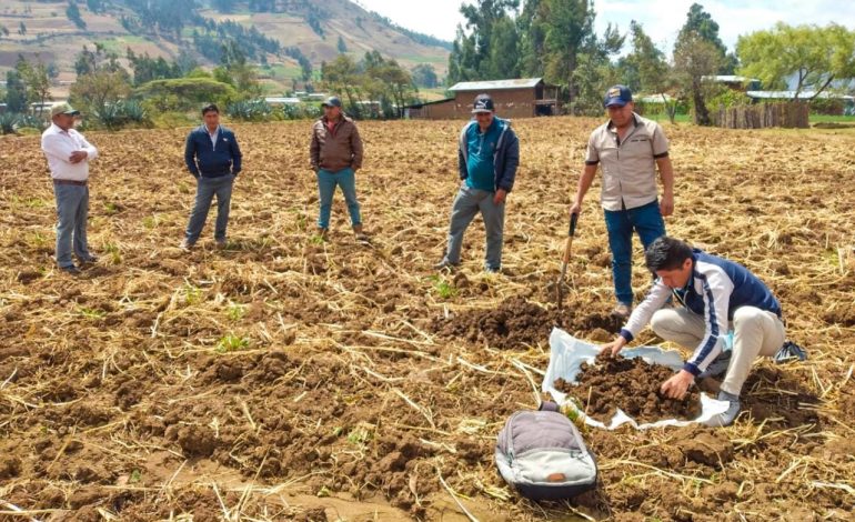 Sector agrario peruano inicia 2025 con presupuesto récord de S/ 3,369 millones