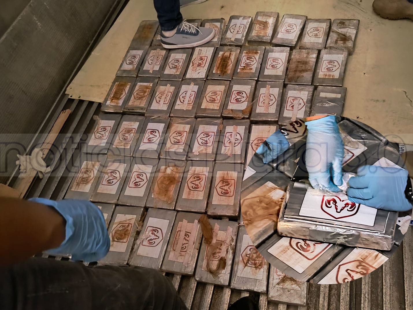 Interceptan envío de casi 70 kg de cocaína en un contenedor que tenía como destino Bélgica