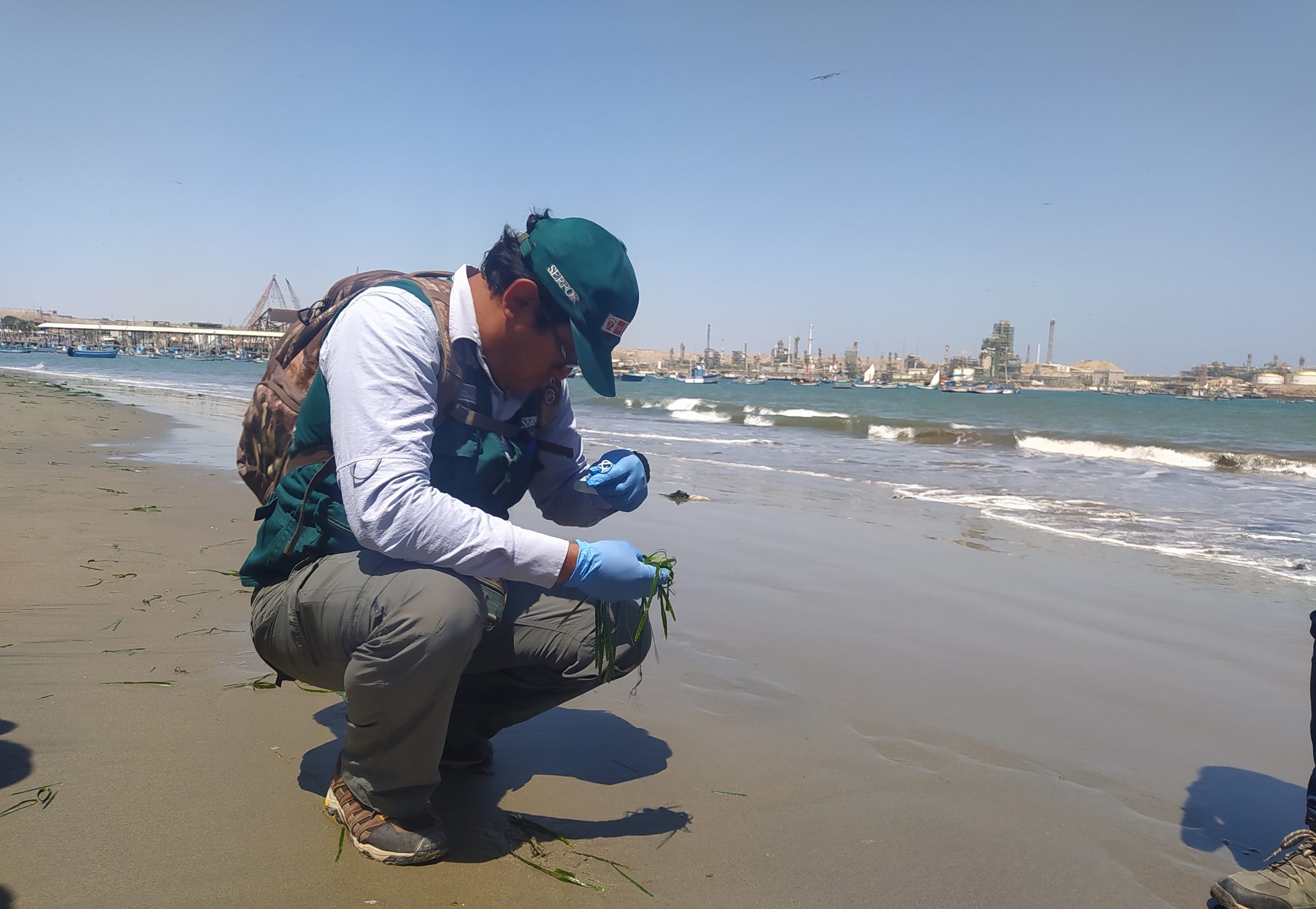 Piura: Pescadores de Talara llevan días sin ingresos económicos tras derrame de petróleo