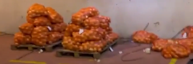 De Paita a España: Incautan 940 kilos de cocaína en contenedores de cebolla