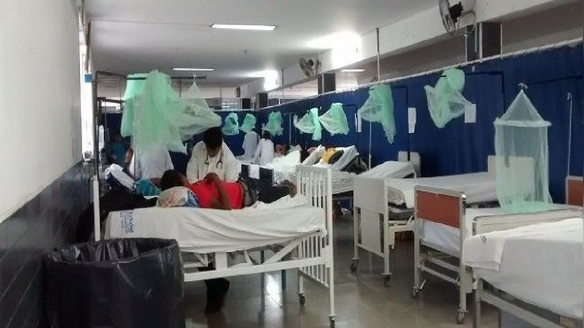 Alerta en Piura: Casos de dengue superan los 2000 y refuerzan acciones preventivas