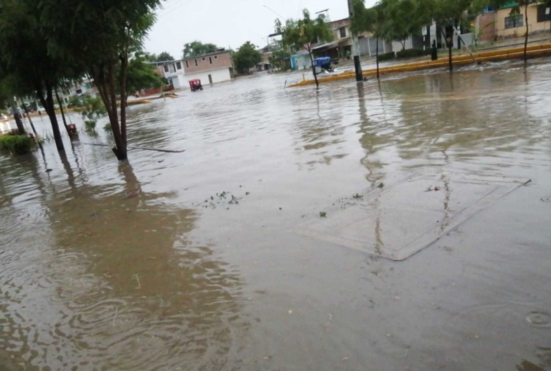 Alerta sanitaria en Piura: Se disparan los casos de leptospirosis y reaparece la tosferina