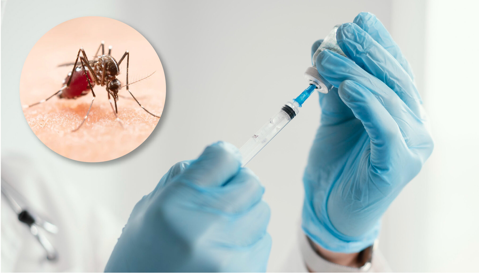 Vacunación infantil contra el dengue no alcanza nivel necesario para controlar brote