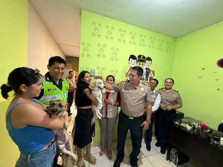 Piura refuerza la lucha contra el maltrato animal con nueva Oficina de Protección Animal
