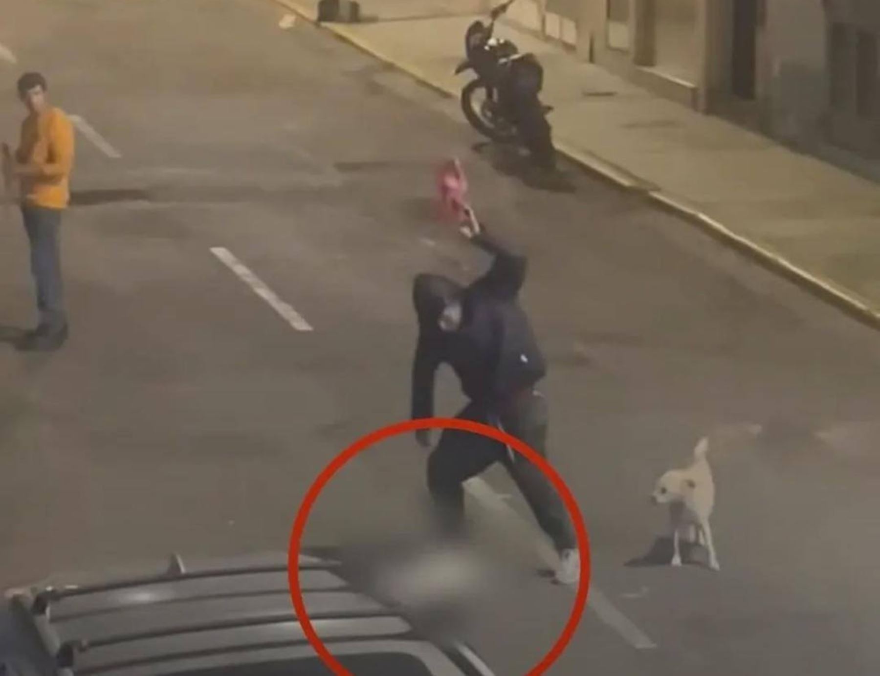 Alcalde denuncia a sujeto que mató brutalmente a perrita