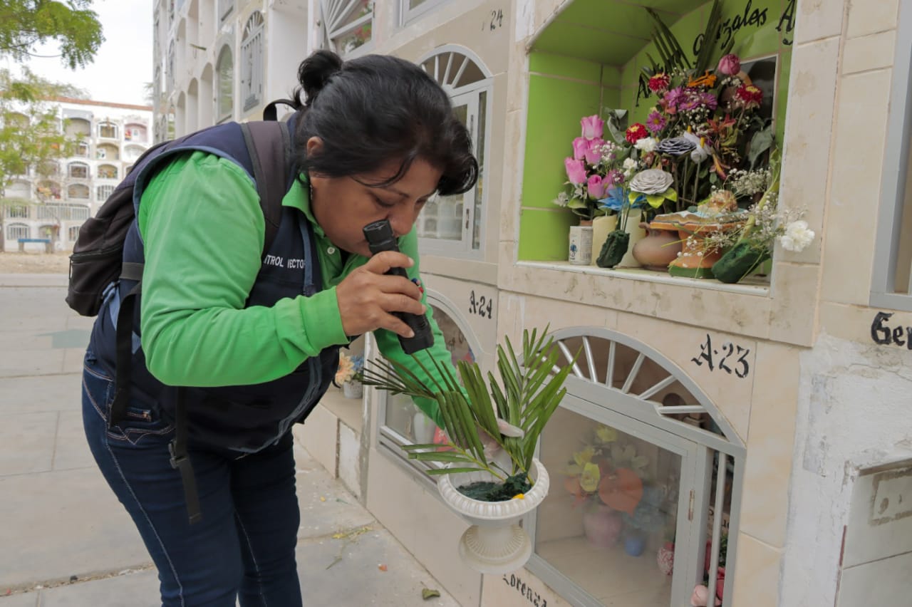 Diresa interviene cementerios para eliminar criaderos del zancudo en Piura