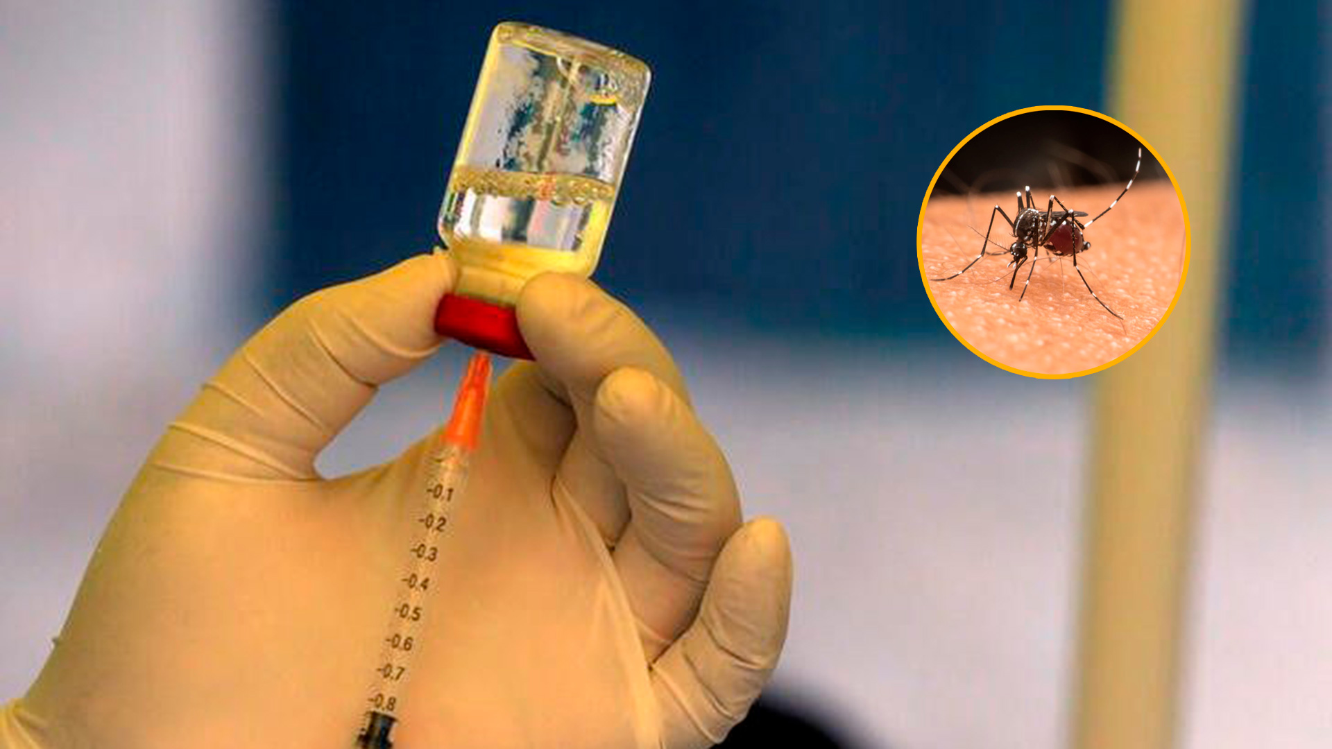 Piura lidera vacunación contra el dengue con dosis altamente efectivas