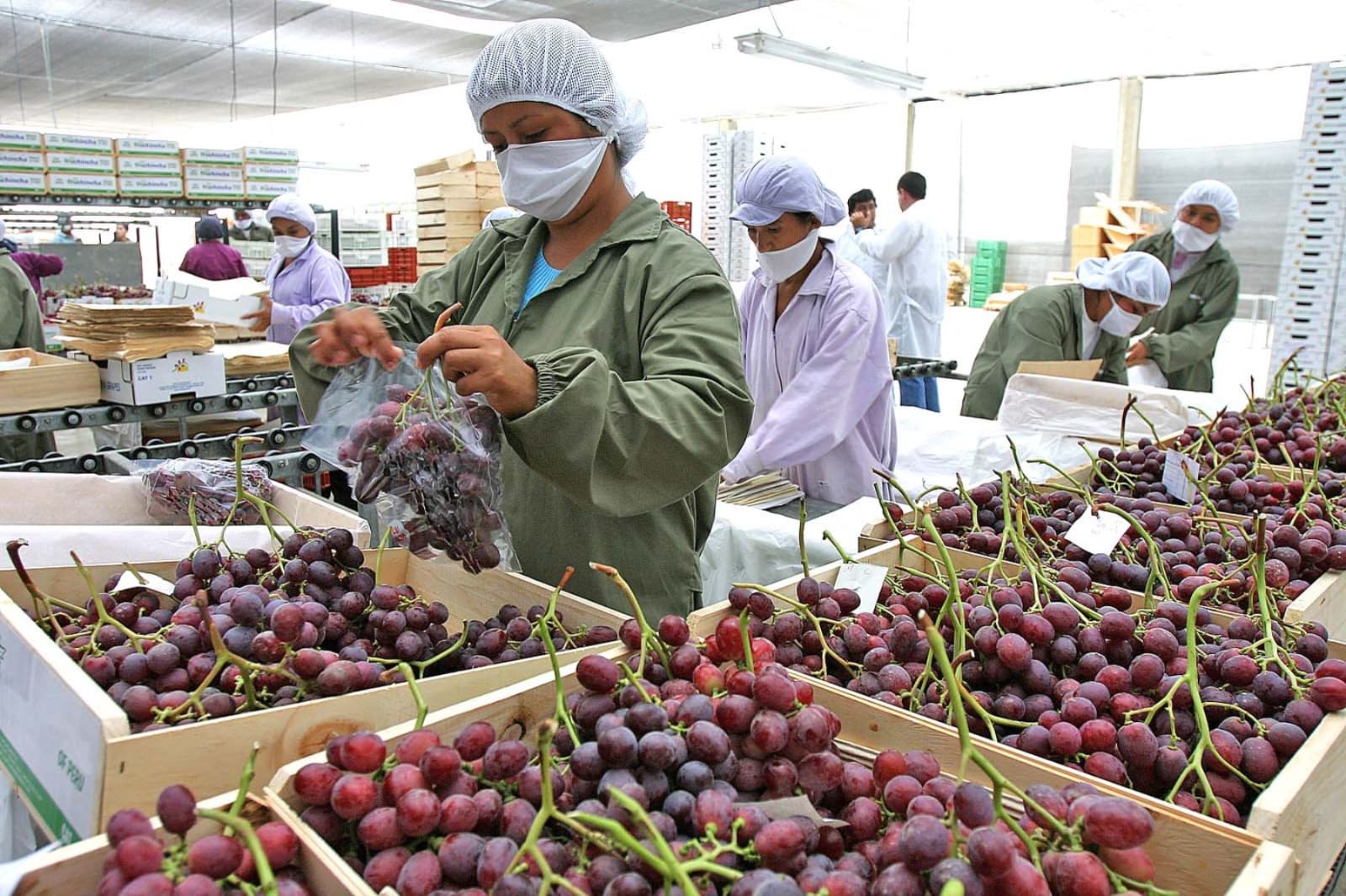 Economía de Piura crece 5.7% y supera promedio nacional en 2024