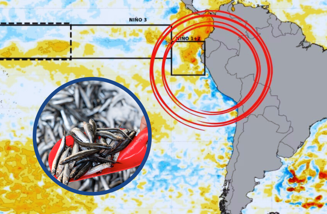 ENFEN descartó presencia de ‘El Niño costero’
