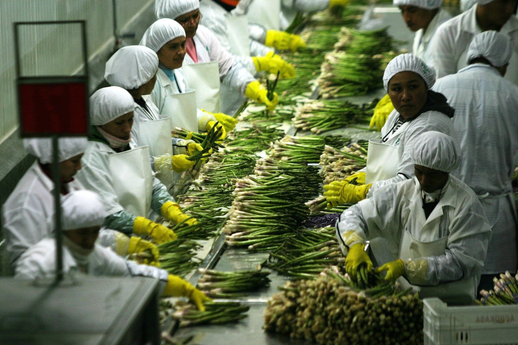 Piura enfrenta reto de informalidad pese a auge manufacturero