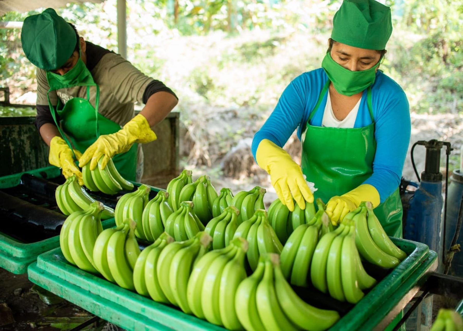 Piura apunta a crecer 5,5 % este año, pero enfrenta riesgos estructurales
