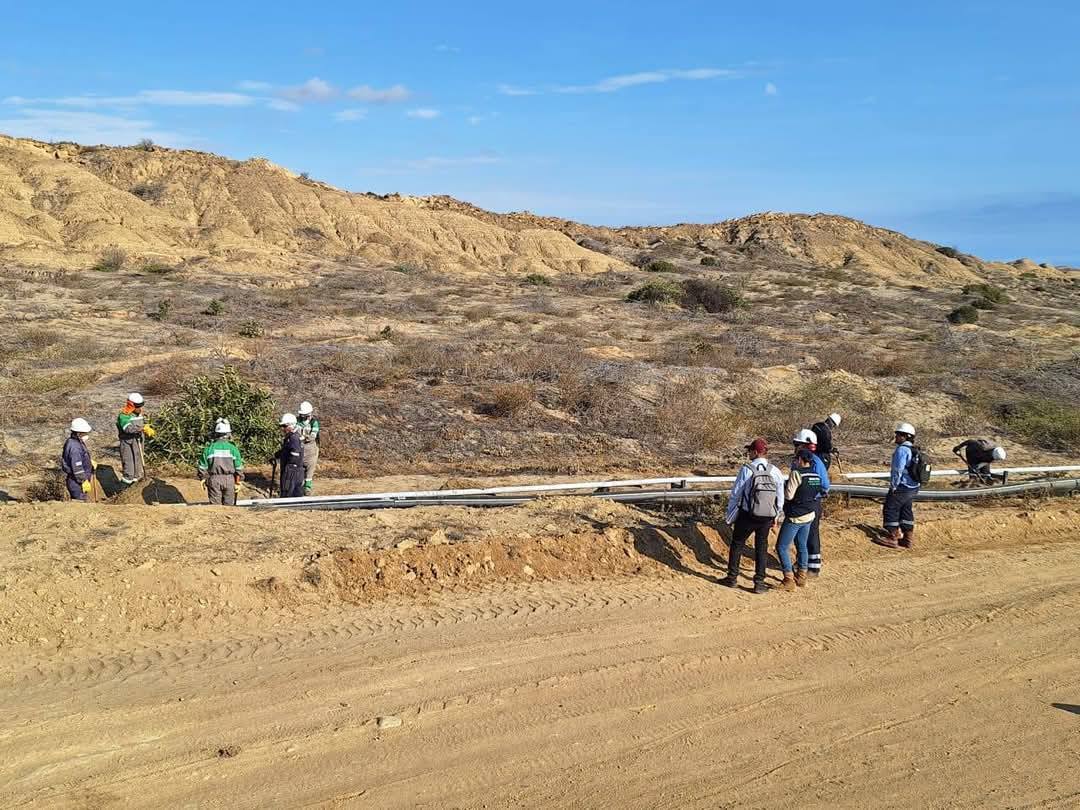 Piura: Fiscalía investiga a Petroperú por derrame en Lobitos