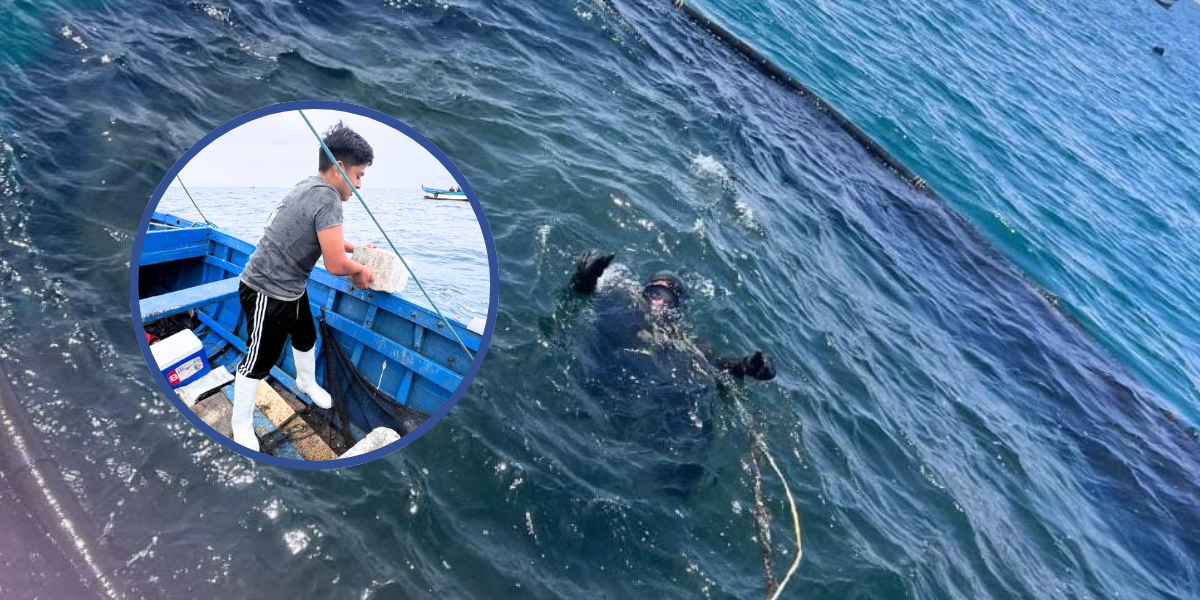 Piura: jóvenes crean arrecife artificial para cultivar pulpo en Sechura