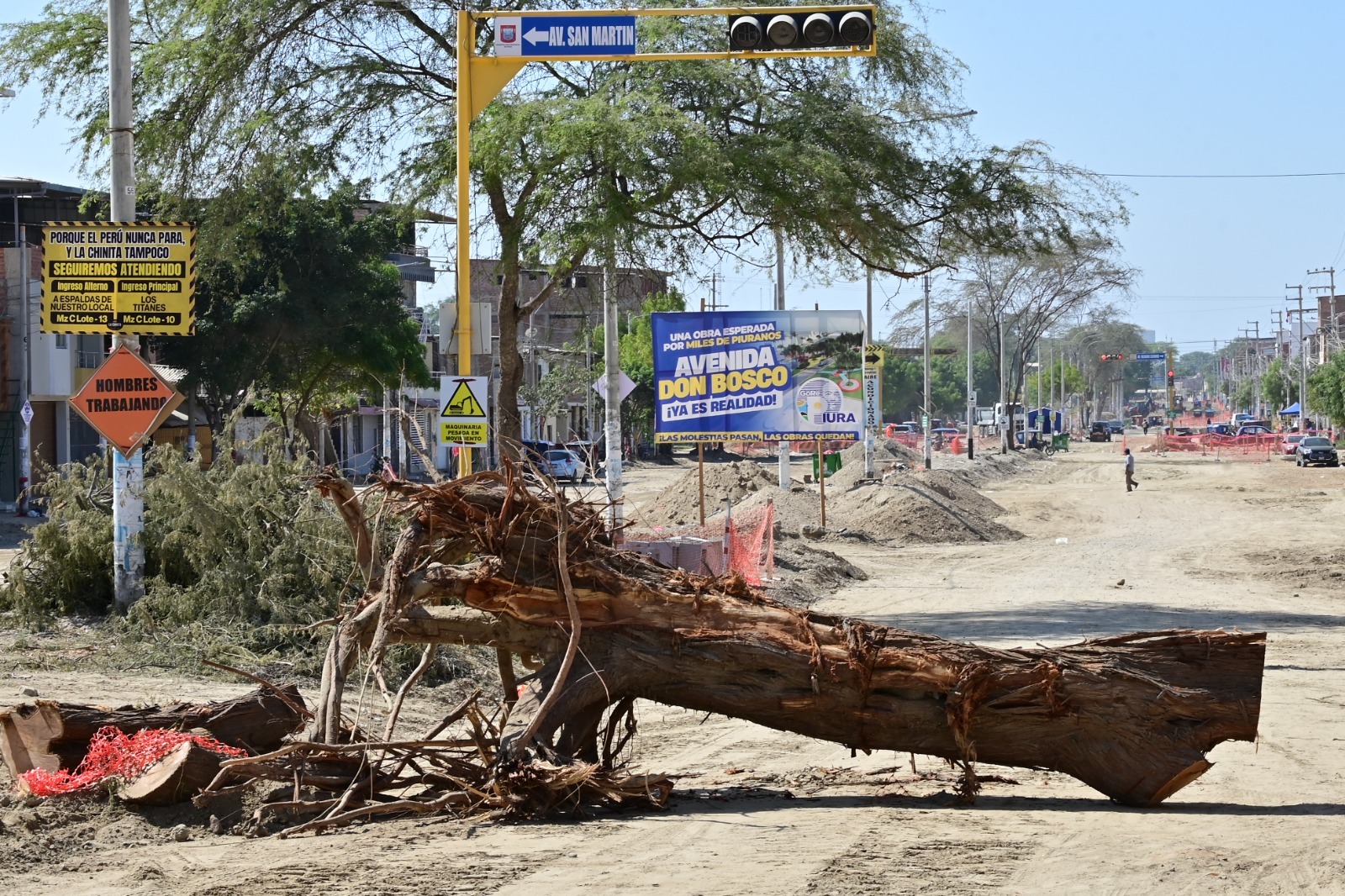 Plantarán el doble de los árboles que serán talados en la av. Don Bosco