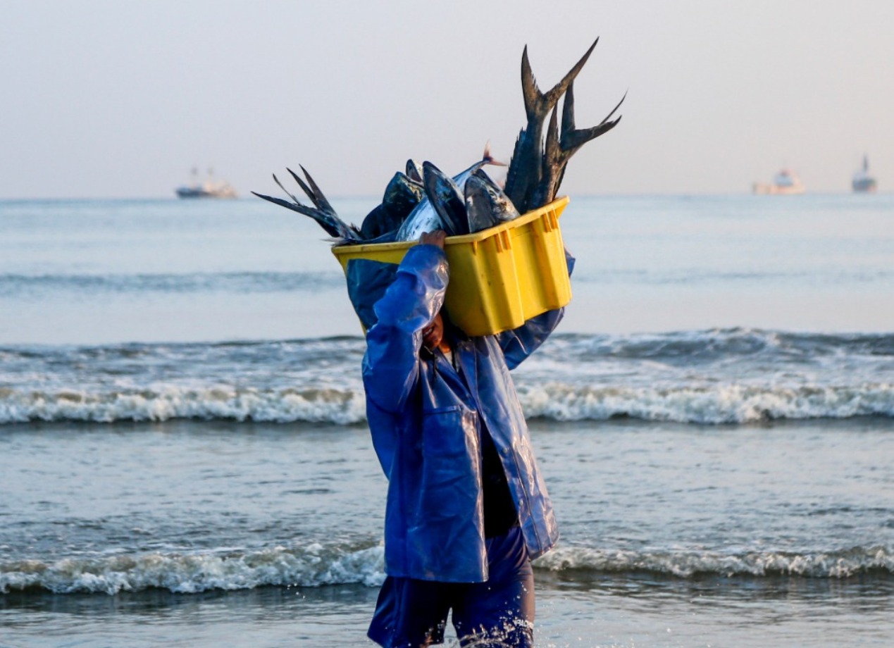 Pescadores demandan decreto que limita pesca artesanal