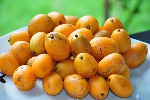 Salud: Descubre los beneficios del manguillo para tu organismo