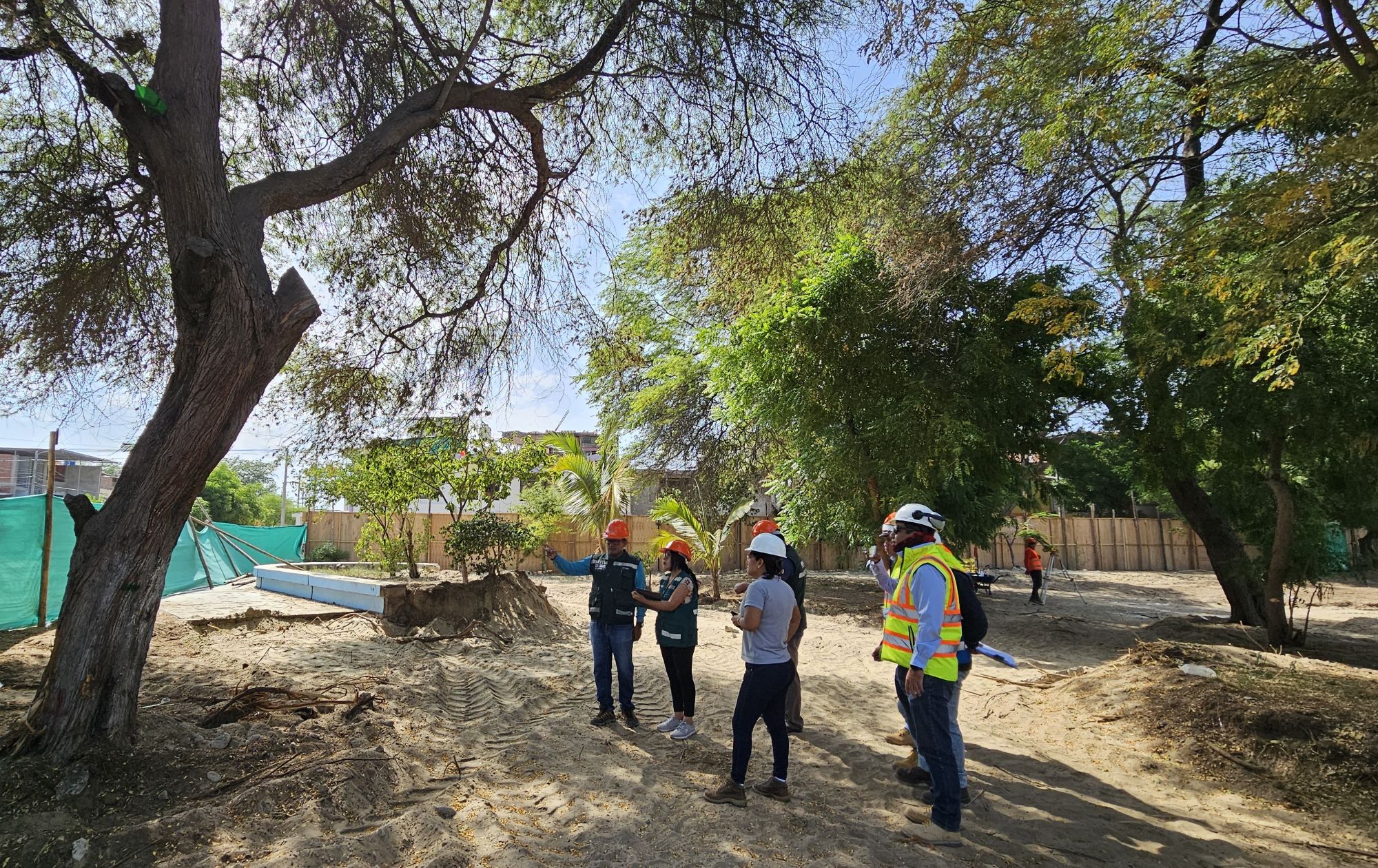Serfor pide minimizar impacto de obras en áreas verdes urbanas