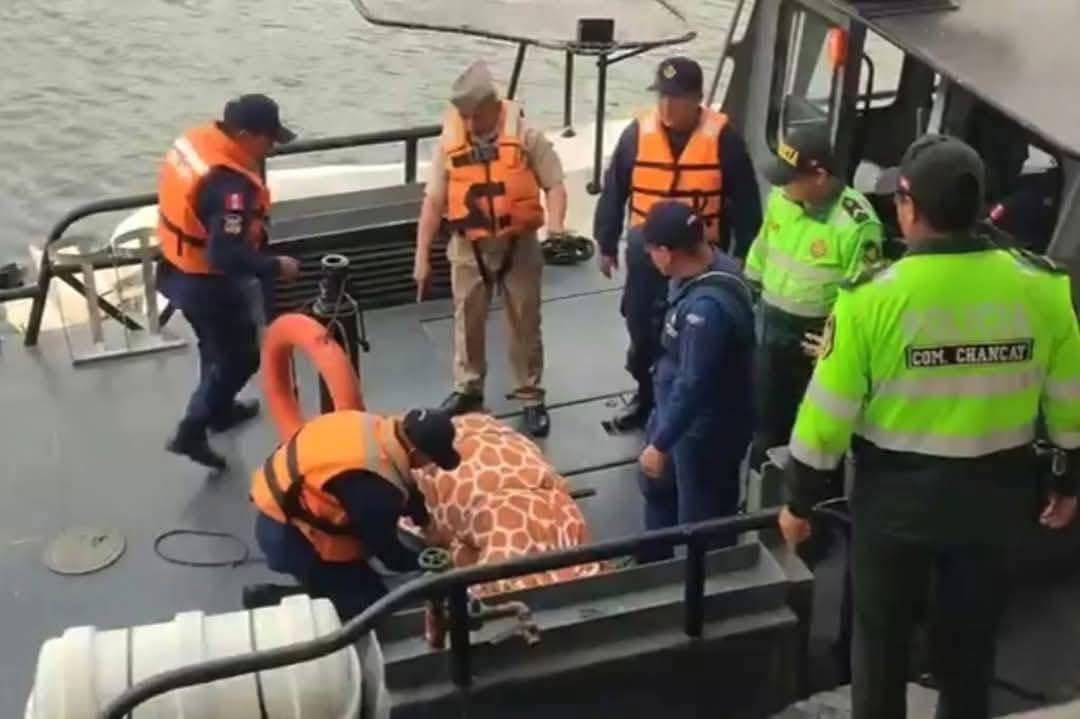 Pescador paiteño fallece tras volcadura en faena artesanal