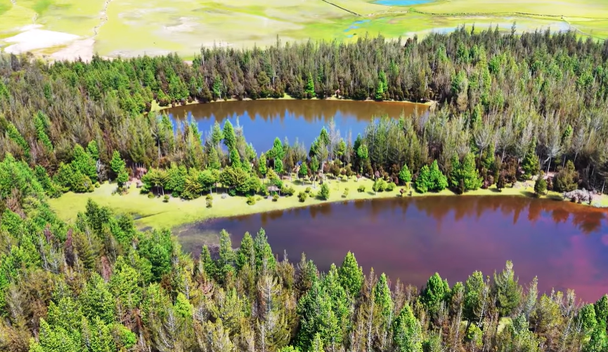 Los Bosques de Rangrayo abren sus puertas al turismo
