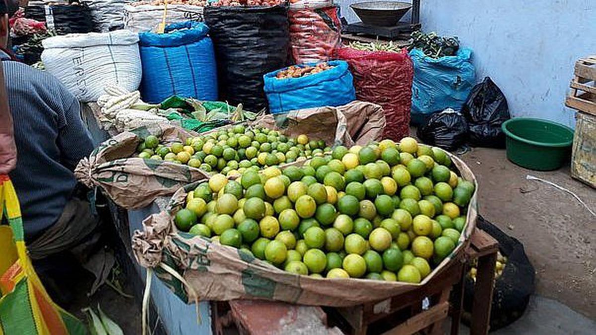 Precio del limón en Piura se dispara: cuartilla sube hasta S/5