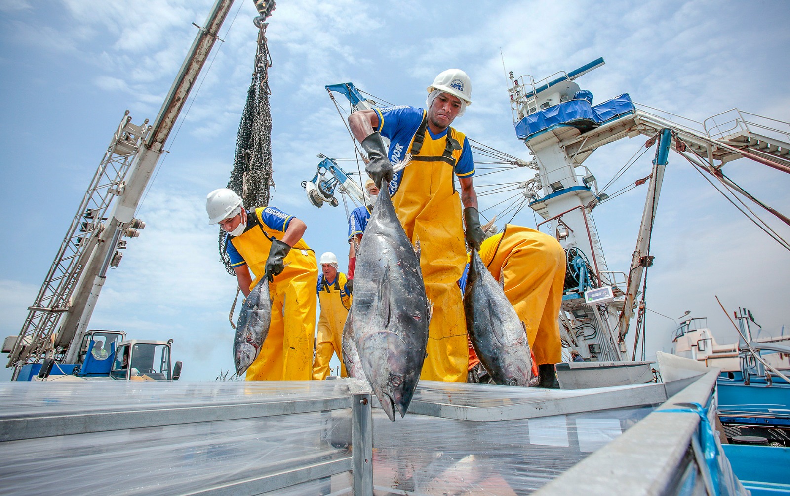 Perú traza ruta al 2040 para transformar su pesca y generar empleo