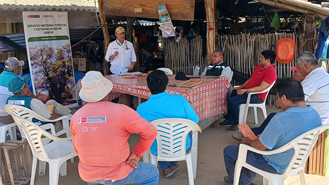 Piura: capacitan a apicultores para prevenir incendios forestales