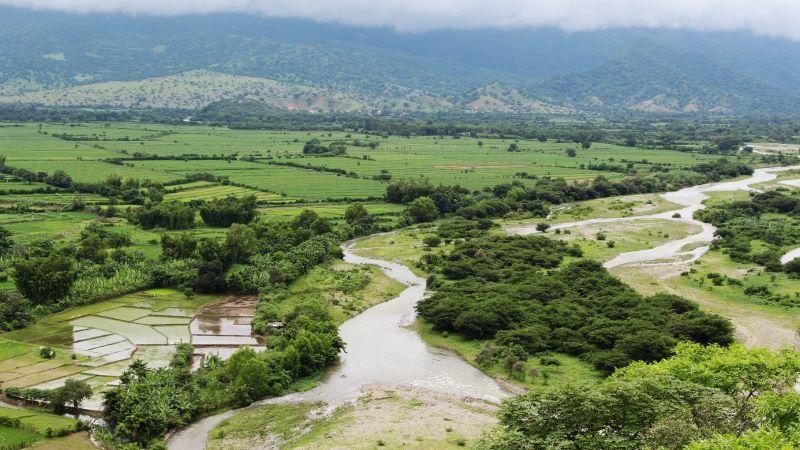 Alto Piura podría duplicar exportaciones agroindustriales