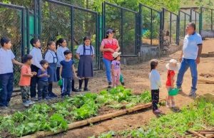 Califican de exitosa la implementación de biohuertos escolares en Piura