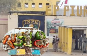 Intentan ingresar droga al penal de Piura en ajíes y pimientos
