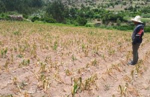 Senamhi alerta: el cambio climático impone un clima extremo